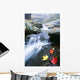 Small Stream, Shenandoah National Park, Virginia, USA Wall Mural