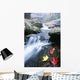 Small Stream, Shenandoah National Park, Virginia, USA Wall Mural