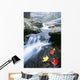 Small Stream, Shenandoah National Park, Virginia, USA Wall Mural