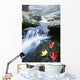 Small Stream, Shenandoah National Park, Virginia, USA Wall Mural