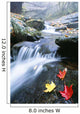 Small Stream, Shenandoah National Park, Virginia, USA Wall Mural