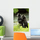 Two Grizzly Bears Wall Mural