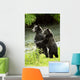 Two Grizzly Bears Wall Mural