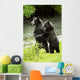 Two Grizzly Bears Wall Mural