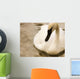 Swan Wall Mural