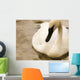 Swan Wall Mural