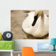 Swan Wall Mural