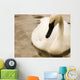 Swan Wall Mural