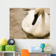 Swan Wall Mural