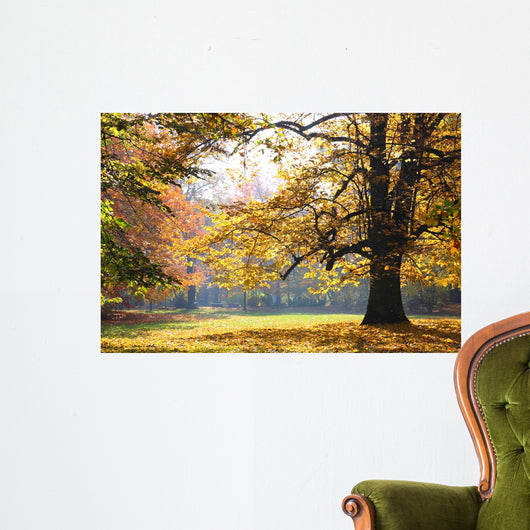 Autumn Park