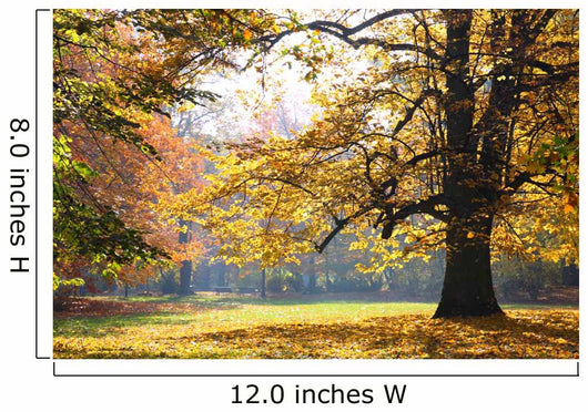 Autumn Park
