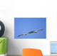 Two Pelicans In Flight Wall Mural