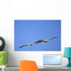 Two Pelicans In Flight Wall Mural