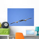 Two Pelicans In Flight Wall Mural