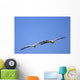 Two Pelicans In Flight Wall Mural
