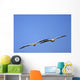Two Pelicans In Flight Wall Mural