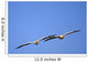 Two Pelicans In Flight Wall Mural