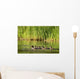 A Family Of Ducks Swimming Wall Mural