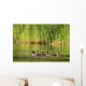 A Family Of Ducks Swimming Wall Mural