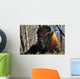A Buffalo Resting Wall Mural
