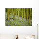 Bluebell Wood Impression Wall Mural