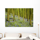 Bluebell Wood Impression Wall Mural