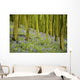 Bluebell Wood Impression Wall Mural