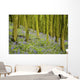 Bluebell Wood Impression Wall Mural
