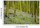Bluebell Wood Impression Wall Mural