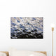 Water Reflections Wall Mural