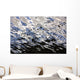 Water Reflections Wall Mural