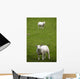 Lambs In A Field Wall Mural