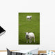 Lambs In A Field Wall Mural