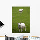 Lambs In A Field Wall Mural