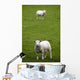 Lambs In A Field Wall Mural
