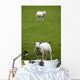 Lambs In A Field Wall Mural