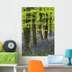 Bluebells In The Woods, Nottinghamshire, England Wall Mural