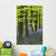 Bluebells In The Woods, Nottinghamshire, England Wall Mural