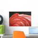Close Up Of A Flamingo Resting Its Head On Its Back Wall Mural