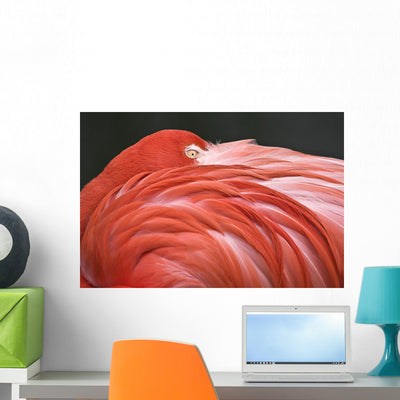 Up Flamingo Resting Its Wall Mural shown on a wall