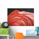Close Up Of A Flamingo Resting Its Head On Its Back Wall Mural