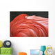 Close Up Of A Flamingo Resting Its Head On Its Back Wall Mural