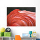 Close Up Of A Flamingo Resting Its Head On Its Back Wall Mural