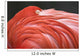 Close Up Of A Flamingo Resting Its Head On Its Back Wall Mural