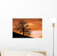 Tree Against A Sunset Sky, Nottinghamshire, England Wall Mural