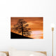 Tree Against A Sunset Sky, Nottinghamshire, England Wall Mural