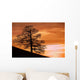 Tree Against A Sunset Sky, Nottinghamshire, England Wall Mural