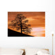 Tree Against A Sunset Sky, Nottinghamshire, England Wall Mural