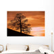 Tree Against A Sunset Sky, Nottinghamshire, England Wall Mural