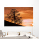 Tree Against A Sunset Sky, Nottinghamshire, England Wall Mural